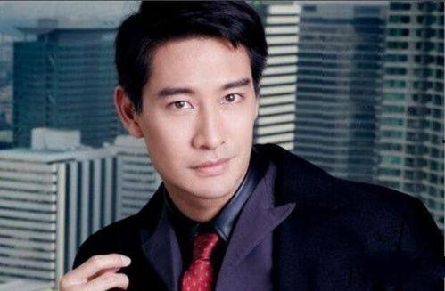 丁丁最大的男明星,揭秘最大男明星的魅力传奇